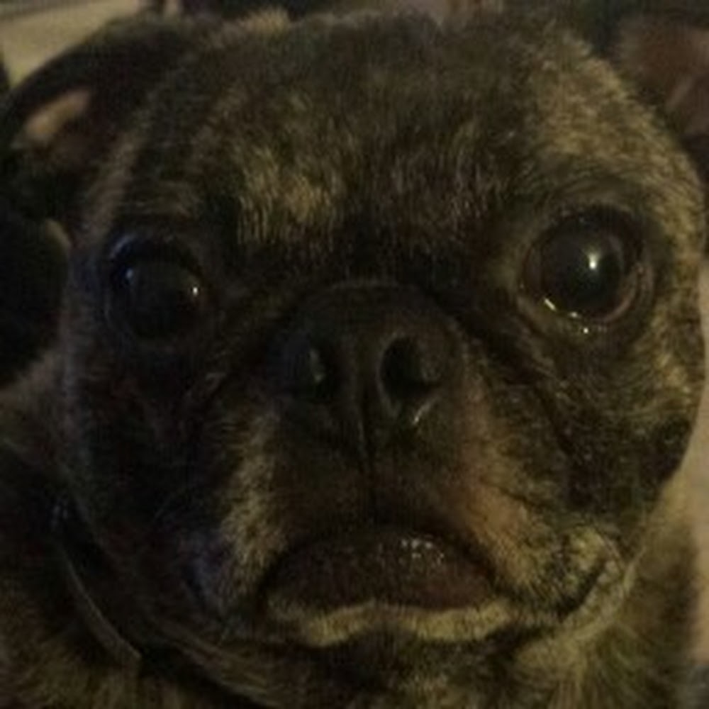 Meet your Posher, Alexandra